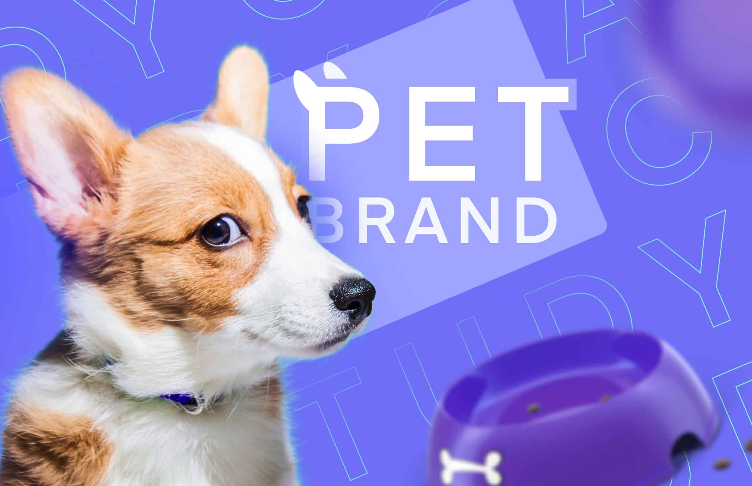 Amazon Exit Case Study: Helping a Pet Brand to Grow Before Selling Its Amazon Business