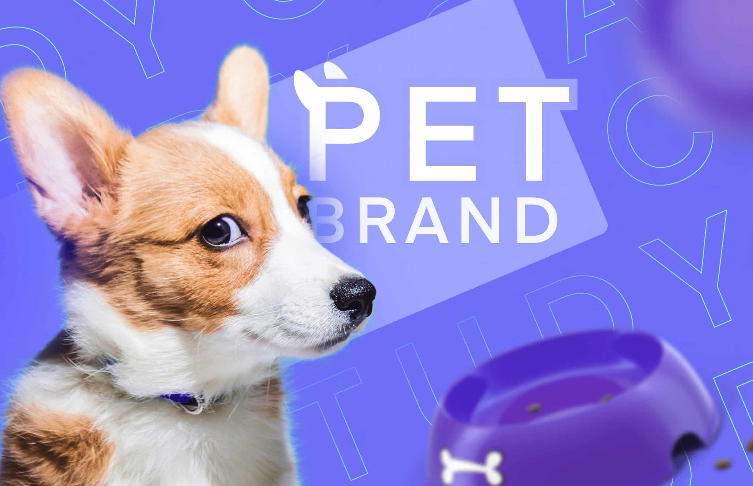 pet-brand-case-study