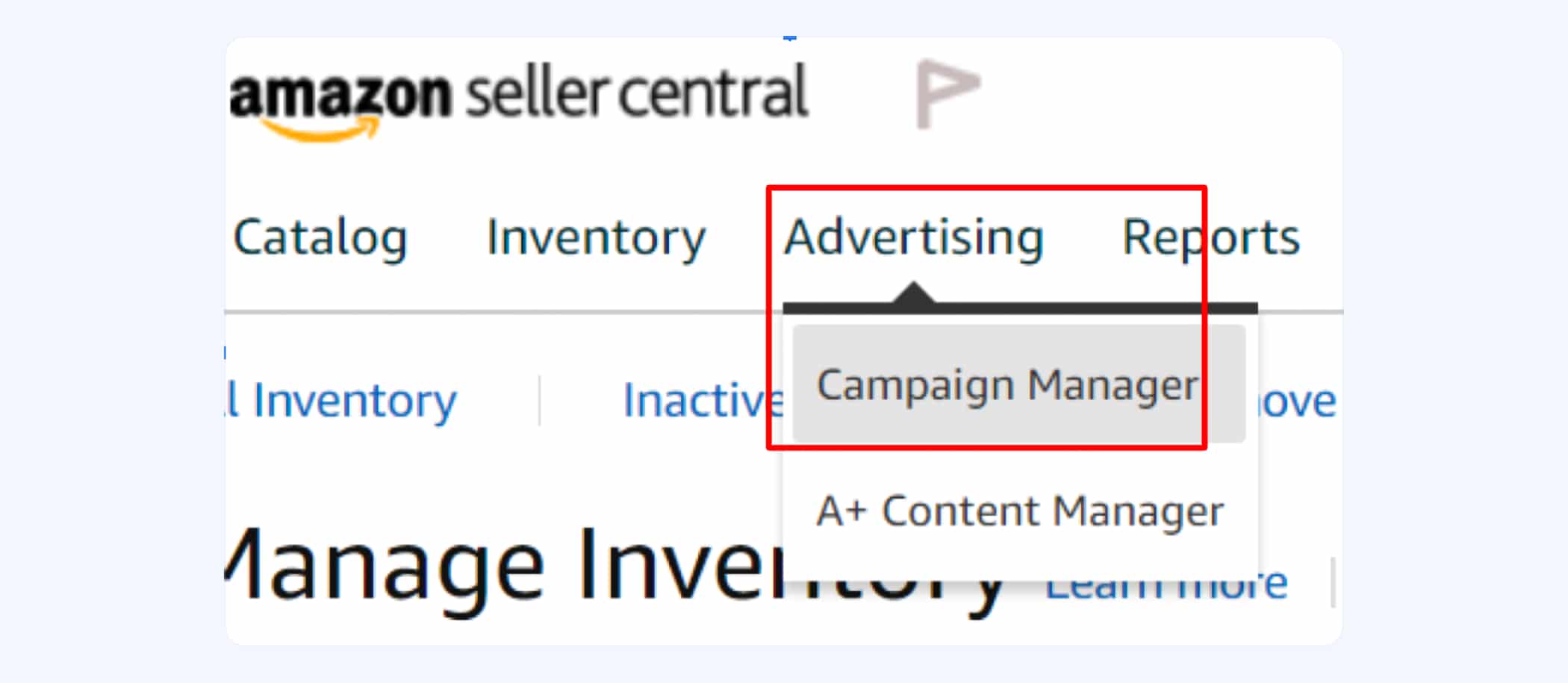 Advertising Campaign Manager