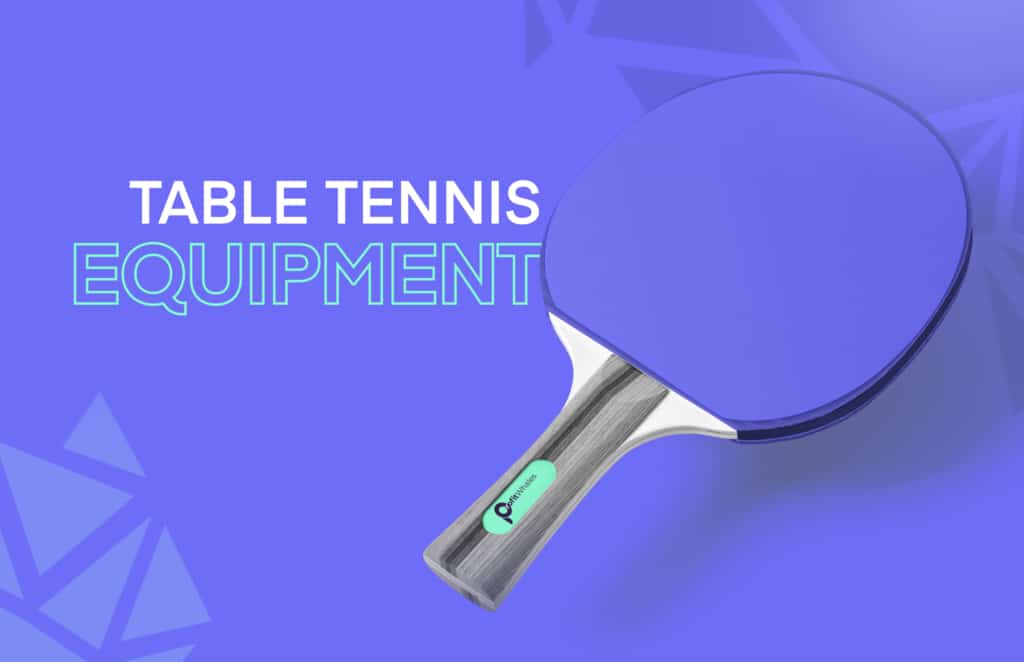 Table Tennis Equipment Brand ZerotoHero PPC Structure